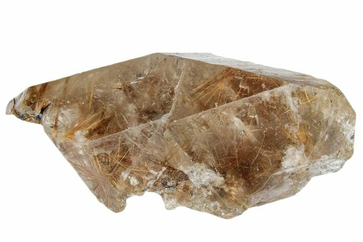 Rutilated Smoky Quartz Crystal - Brazil #173000